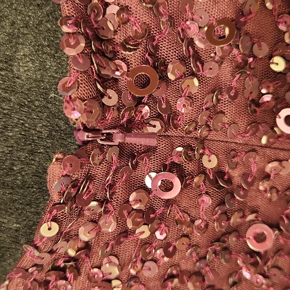 Adrianna Papell Beaded Long Blouson Dress Cassis 8 NWT - Picture 9 of 16